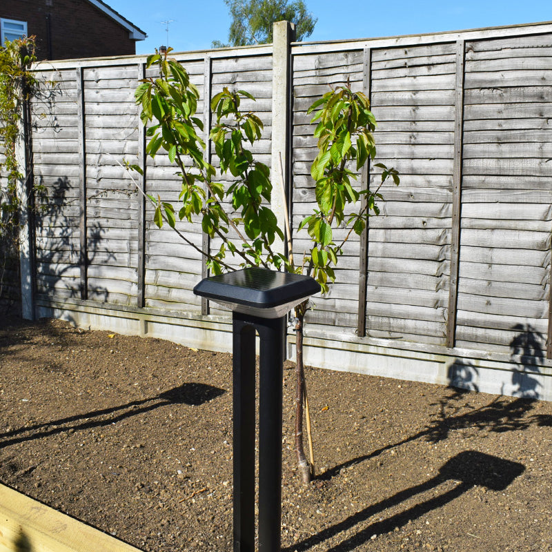 Arc solar path light installed in daylight