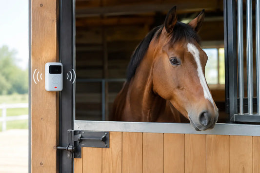 Choosing the Right Stable Door Alarm for Horses