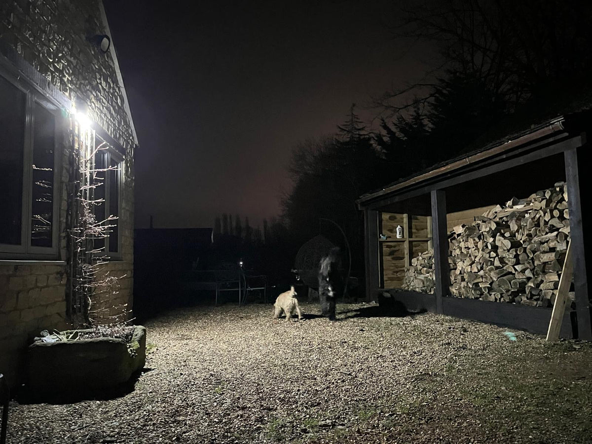 Alerta solar security light illuminating a rural yard at night