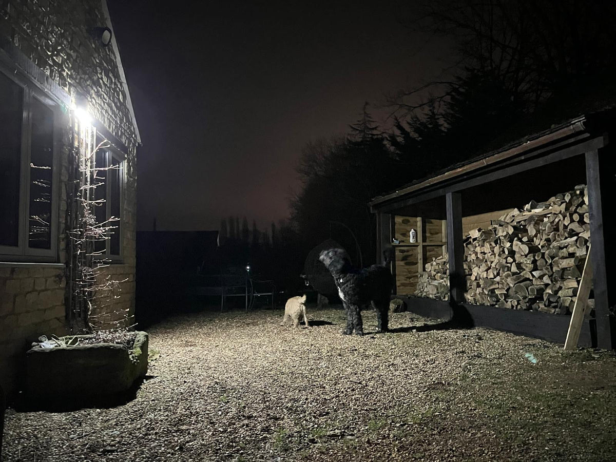 Alerta solar security light covering a rural property and log store