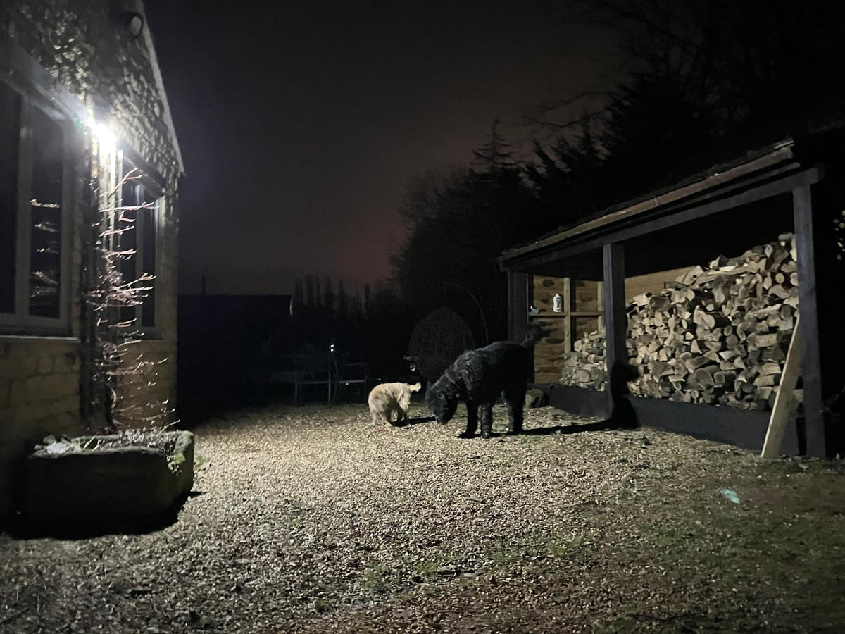 Alerta solar security light providing wide yard illumination